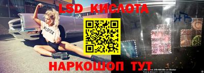шишки Гусиноозёрск