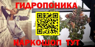 спиды Гусев