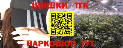 спиды Гусев