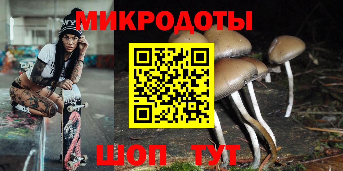 Псилоцибиновые грибы MAGIC MUSHROOMS Владивосток